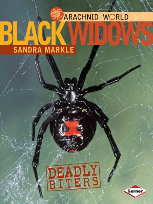 Title details for Black Widows by Sandra Markle - Available
